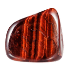 Oeil de Taureau