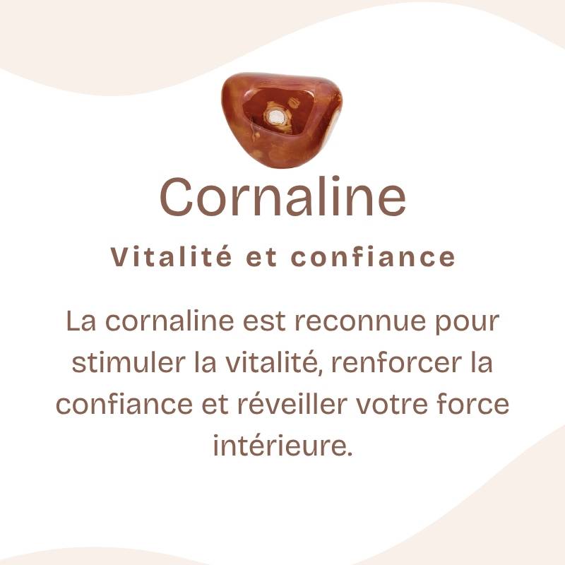 Pendentif "Ancrage Doux" Pointe en Cornaline